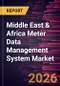 Middle East & Africa Meter Data Management System Market Size and Forecast (2021 - 2031) - Product Image