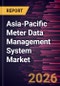 Asia-Pacific Meter Data Management System Market Size and Forecast (2021 - 2031) - Product Image