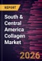 South & Central America Collagen Market Size and Forecast (2021 - 2031) - Product Image