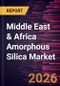 Middle East & Africa Amorphous Silica Market Size and Forecast (2021 - 2031) - Product Thumbnail Image