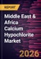 Middle East & Africa Calcium Hypochlorite Market Size and Forecast (2021 - 2031) - Product Image