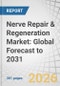 Nerve Repair & Regeneration Market: Global Forecast to 2031 - Product Thumbnail Image