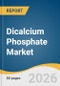 Dicalcium Phosphate Market Size, Share & Trends Analysis Report 2026-2033 - Product Thumbnail Image