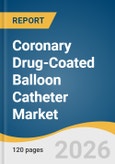 Coronary Drug-Coated Balloon Catheter Market Size, Share & Trends Analysis Report 2026-2033- Product Image