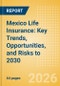 Mexico Life Insurance: Key Trends, Opportunities, and Risks to 2030 - Product Thumbnail Image
