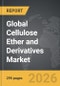 Cellulose Ether and Derivatives - Global Strategic Business Report - Product Thumbnail Image