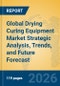Global Drying Curing Equipment Market Strategic Analysis, Trends, and Future Forecast - Product Thumbnail Image