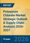 Potassium Chlorate Market Strategic Outlook & Supply Chain Analysis 2026-2031 - Product Image