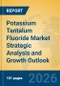Potassium Tantalum Fluoride Market Strategic Analysis and Growth Outlook - Product Thumbnail Image
