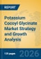 Potassium Cocoyl Glycinate Market Strategy and Growth Analysis - Product Image