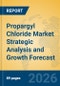 Propargyl Chloride Market Strategic Analysis and Growth Forecast - Product Thumbnail Image