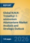Global N,N,N-Trimethyl-1-ammonium Adamantane Market Analysis and Strategic Outlook - Product Thumbnail Image