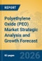 Polyethylene Oxide (PEO) Market Strategic Analysis and Growth Forecast - Product Thumbnail Image