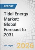 Tidal Energy Market: Global Forecast to 2031- Product Image