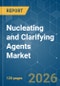 Nucleating and Clarifying Agents - Market Share Analysis, Industry Trends & Statistics, Growth Forecasts (2026-2031) - Product Thumbnail Image