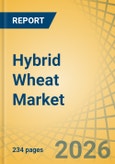Hybrid Wheat Market Size, Share, Trends & Forecast Analysis - Global Forecast to 2036- Product Image