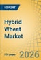 Hybrid Wheat Market Size, Share, Trends & Forecast Analysis - Global Forecast to 2036 - Product Thumbnail Image