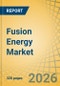Fusion Energy Market Size, Share, and Industry Analysis - Global Forecast to 2036 - Product Thumbnail Image
