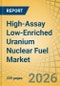 High-Assay Low-Enriched Uranium (HALEU) Nuclear Fuel Market Size, Share, and Industry Analysis - Global Forecast to 2036 - Product Thumbnail Image