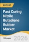 Fast Curing Nitrile Butadiene Rubber Market Size, Share & Trends Analysis Report 2026-2033 - Product Thumbnail Image