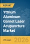 Yttrium Aluminum Garnet (YAG) Laser Acupuncture Market Global Report 2026 - Product Thumbnail Image