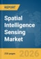 Spatial Intelligence Sensing Market Global Report 2026 - Product Thumbnail Image