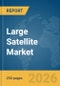 Large Satellite Market Global Report 2026 - Product Thumbnail Image
