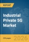 Industrial Private 5G Market Global Report 2026 - Product Thumbnail Image