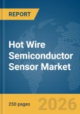 Hot Wire Semiconductor Sensor Market Global Report 2026- Product Image