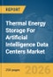 Thermal Energy Storage For Artificial Intelligence (AI) Data Centers Market Global Report 2026 - Product Thumbnail Image