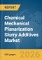 Chemical Mechanical Planarization (CMP) Slurry Additives Market Global Report 2026 - Product Image