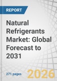Natural Refrigerants Market: Global Forecast to 2031- Product Image