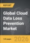 Cloud Data Loss Prevention (DLP) - Global Strategic Business Report 2026 - Product Thumbnail Image