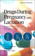 Drugs During Pregnancy and Lactation. Treatment Options and Risk Assessment. Edition No. 2- Product Image