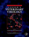 Fenner's Veterinary Virology. Edition No. 4- Product Image