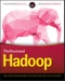 Professional Hadoop. Edition No. 1 - Product Thumbnail Image