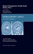 Modern Management of High Grade Glioma, Part I, An Issue of Neurosurgery Clinics. The Clinics: Surgery Volume 23-2- Product Image