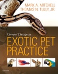 Current Therapy in Exotic Pet Practice- Product Image