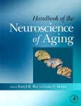 Handbook of the Neuroscience of Aging- Product Image