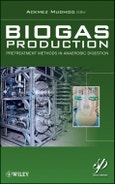 Biogas Production. Pretreatment Methods in Anaerobic Digestion. Edition No. 1- Product Image