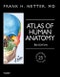 Atlas of Human Anatomy, Professional Edition. including NetterReference.com Access with Full Downloadable Image Bank. Netter Basic Science - Product Image