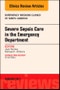Severe Sepsis Care in the Emergency Department, An Issue of Emergency Medicine Clinics of North America. The Clinics: Internal Medicine Volume 35-1 - Product Thumbnail Image