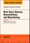 Burn Care: Rescue, Resuscitation, and Resurfacing, An Issue of Clinics in Plastic Surgery. The Clinics: Surgery Volume 44-3 - Product Thumbnail Image