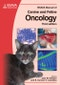 BSAVA Manual of Canine and Feline Oncology. Edition No. 3. BSAVA British Small Animal Veterinary Association - Product Thumbnail Image