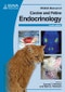 BSAVA Manual of Canine and Feline Endocrinology. Edition No. 1. BSAVA British Small Animal Veterinary Association - Product Image