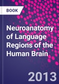 Neuroanatomy of Language Regions of the Human Brain- Product Image