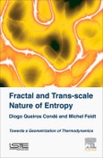 Fractal and Trans-scale Nature of Entropy. Towards a Geometrization of Thermodynamics- Product Image