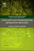 Capillary Electromigration Separation Methods. Handbooks in Separation Science- Product Image