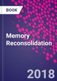 Memory Reconsolidation- Product Image