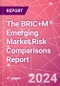 The BRIC+M Emerging Market Risk Comparisons Report - Product Thumbnail Image